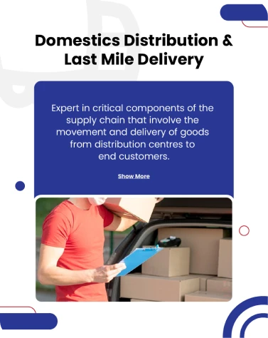 Domestic Distribution & Last Mile Delivery