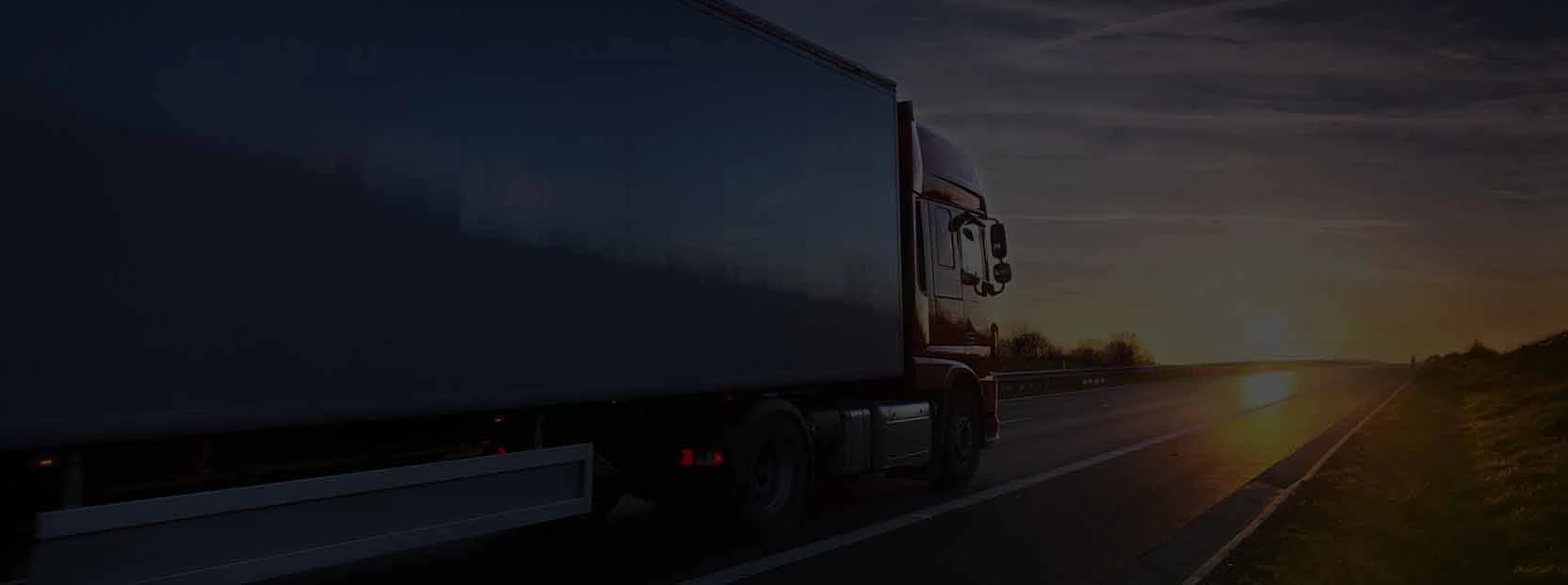 Spanduk Promosi: Domestics Distribution & Last Mile Delivery