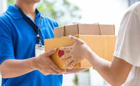Domestics Distribution & Last Mile Delivery