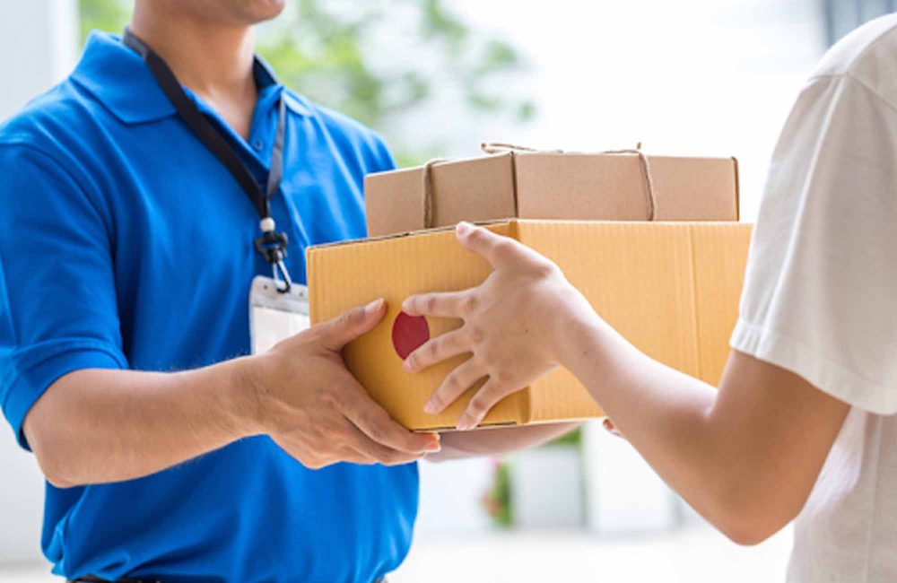 Domestics Distribution & Last Mile Delivery